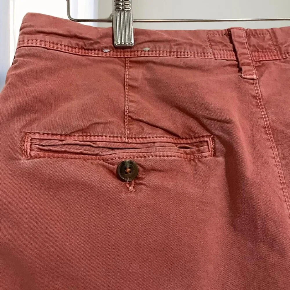 2 for $20 American Eagle Extreme Flex Mens Shorts Size 30 Stretch Comfort Casual - Picture 11 of 16